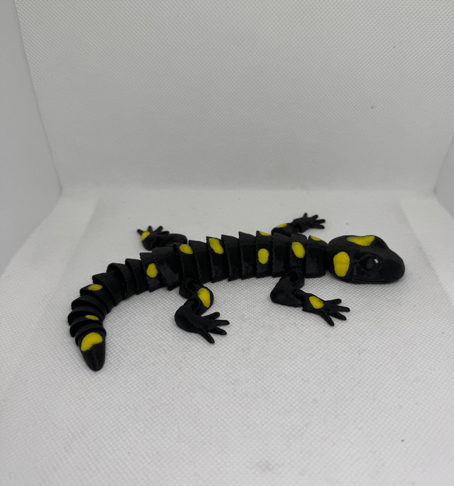 Salamandre 
