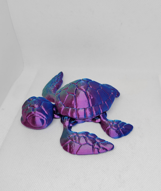 Tortue de mer