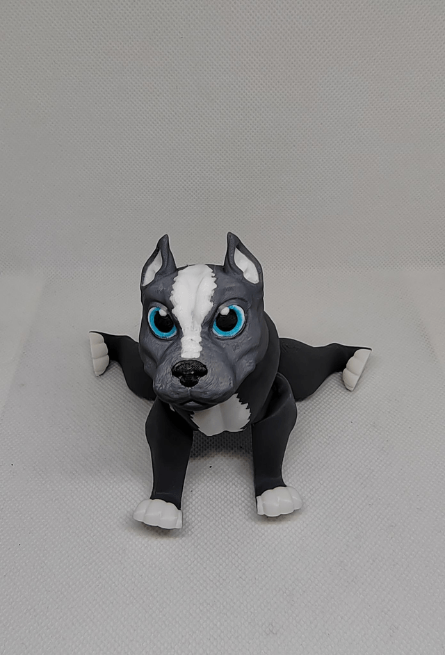 Pitbull
