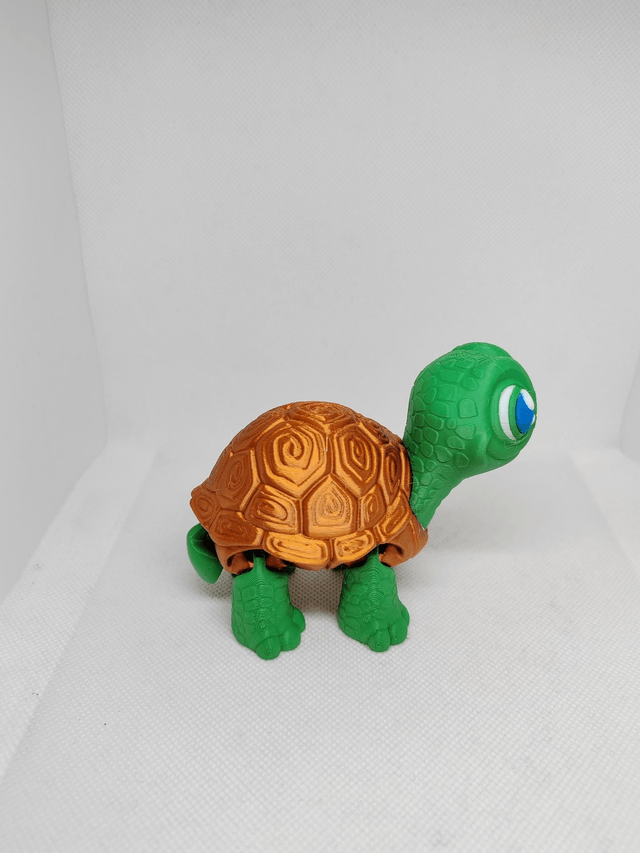 Tortue articulée