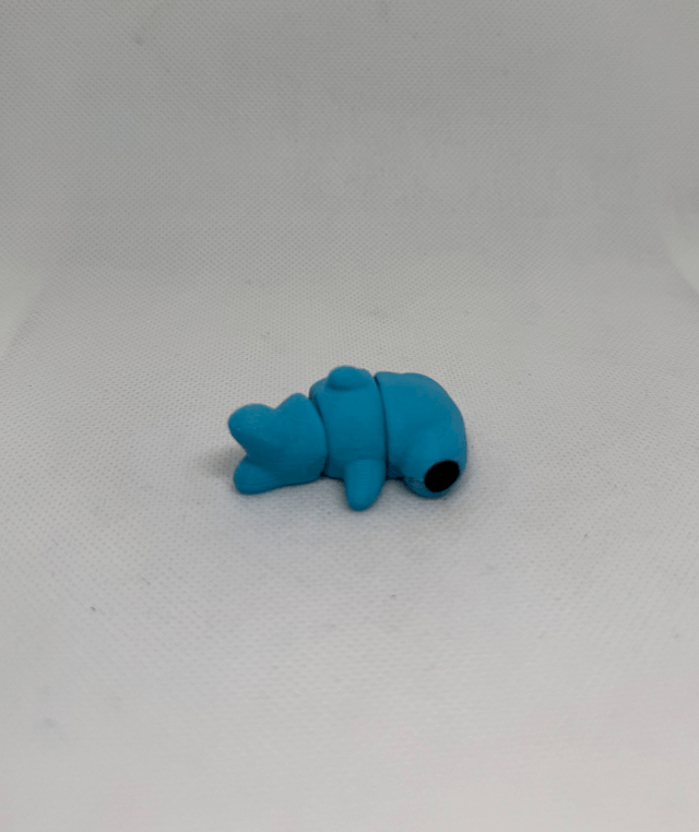 Requin marteau