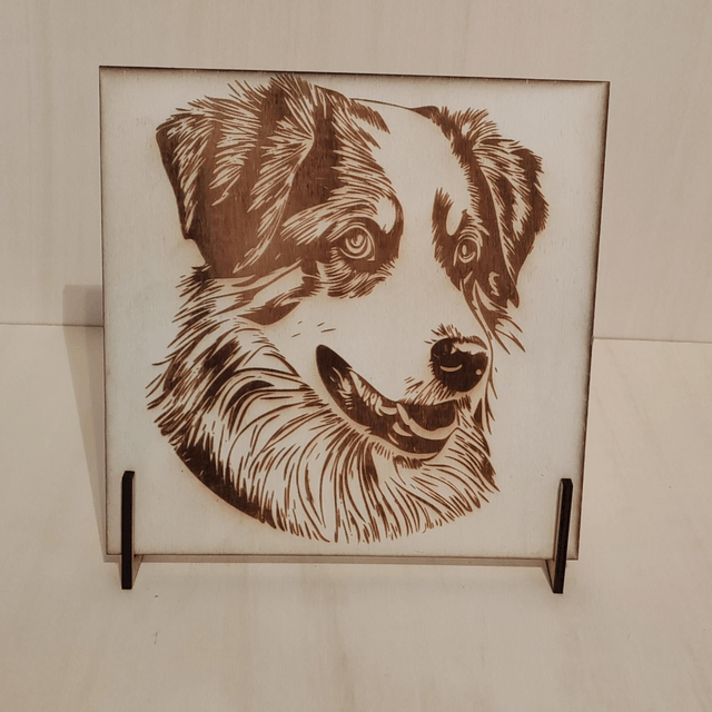 Chien