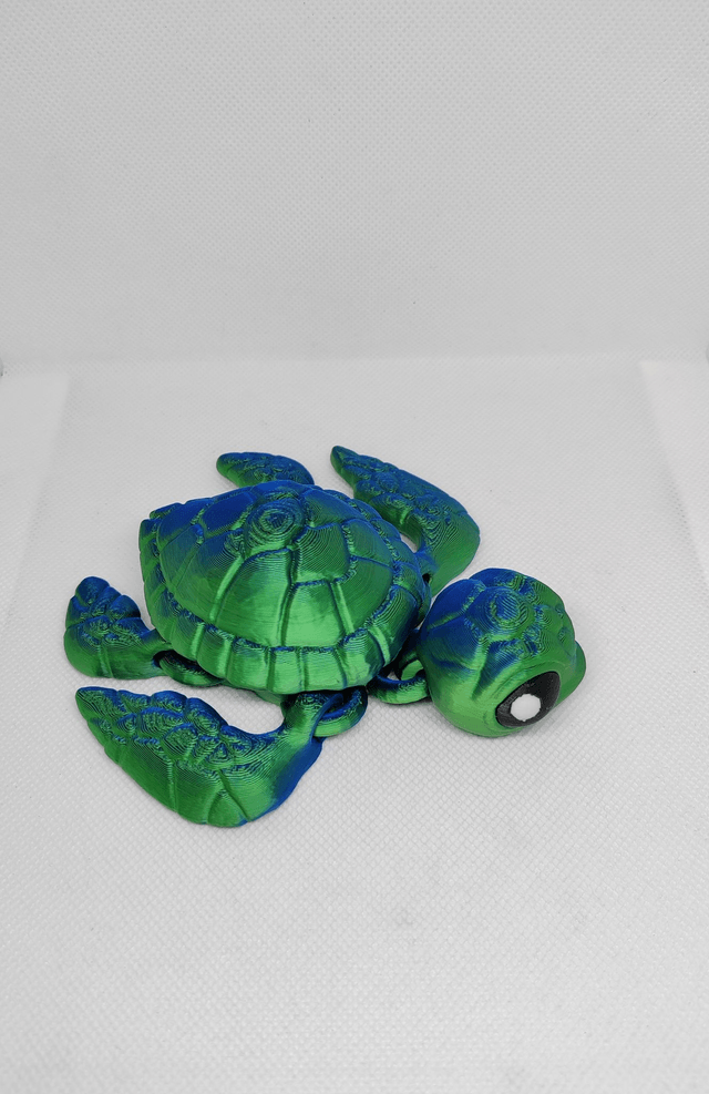 Tortue de mer