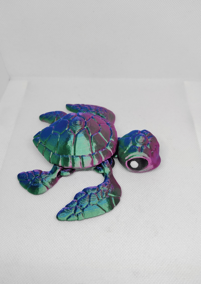 Tortue de mer