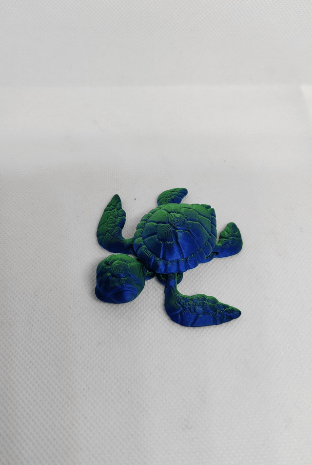 Tortue de mer