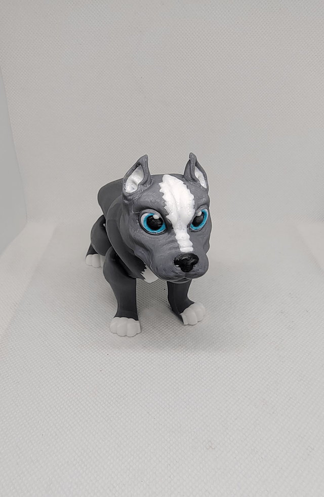 Pitbull