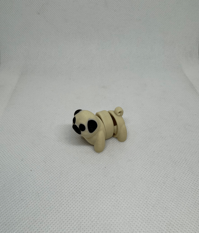 Chien 
