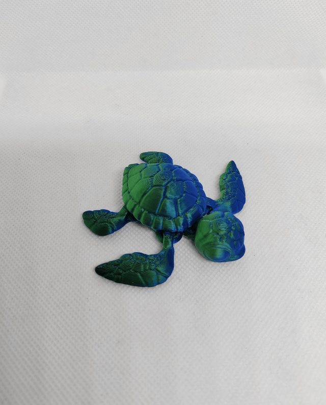 Tortue de mer