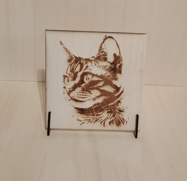 Chat 