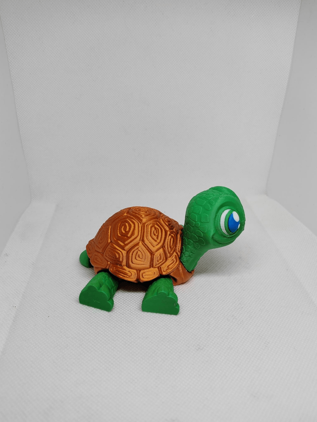 Tortue articulée