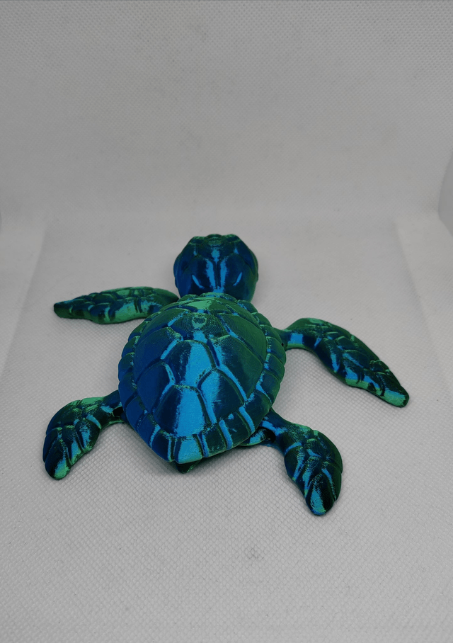 Tortue de mer