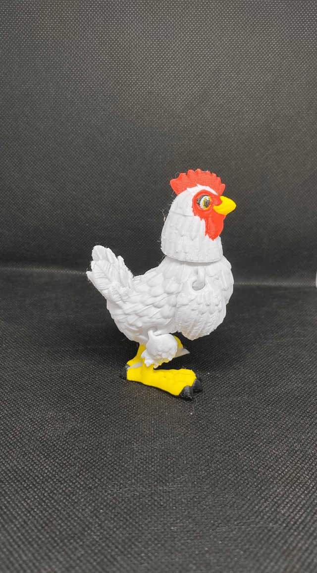 Poule