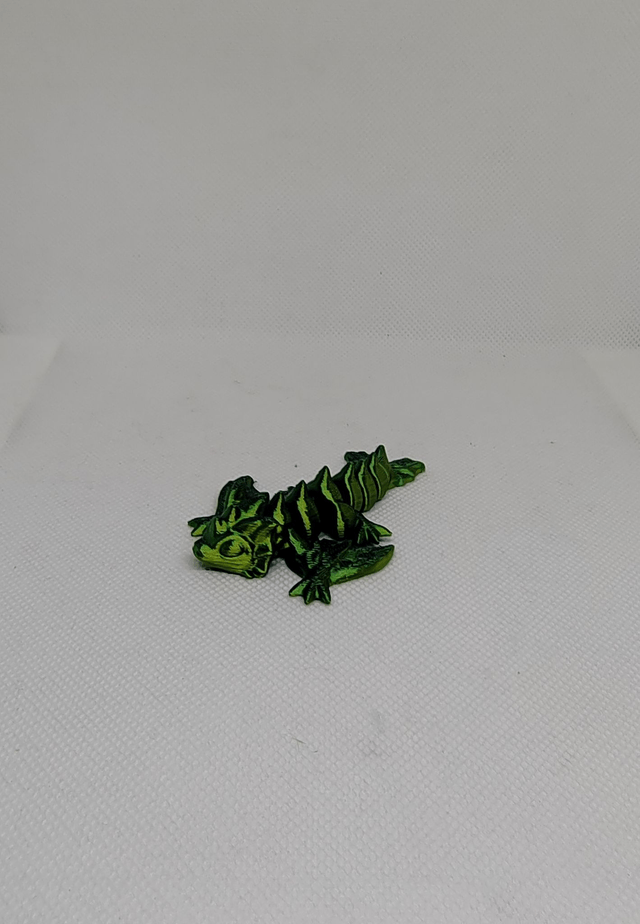 Bébé dragon