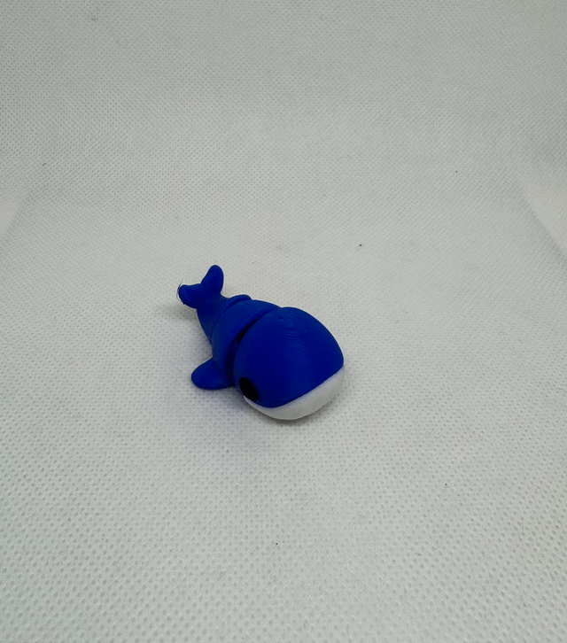 Baleine