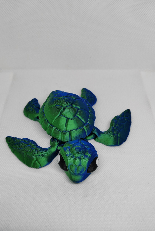 Tortue de mer