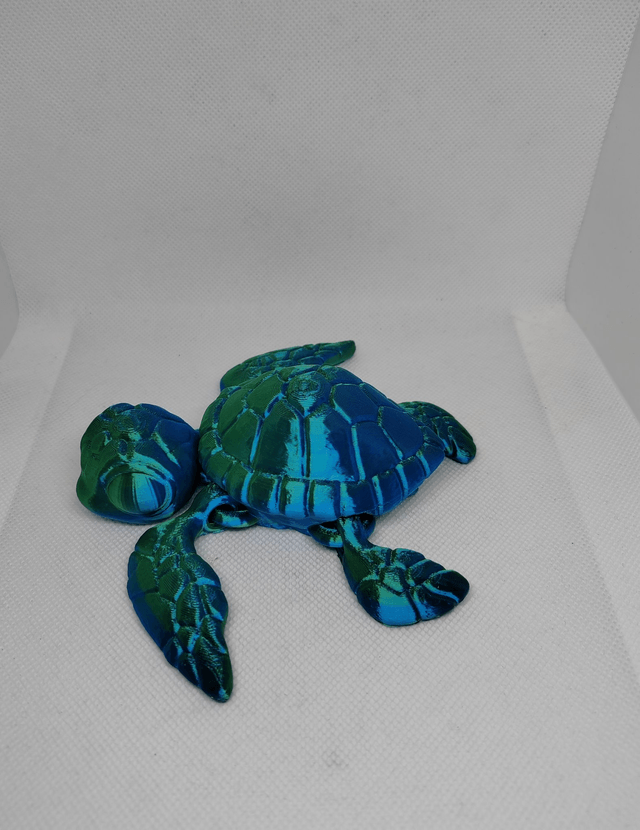Tortue de mer