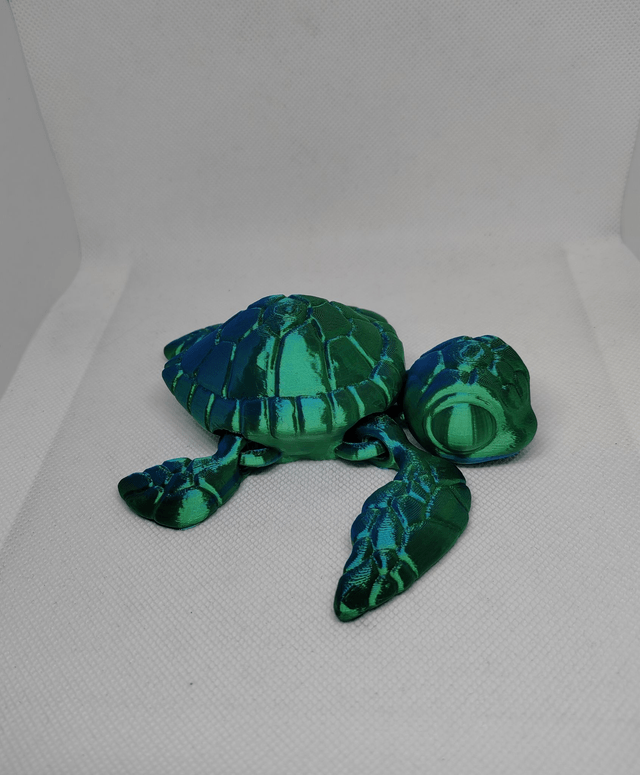 Tortue de mer