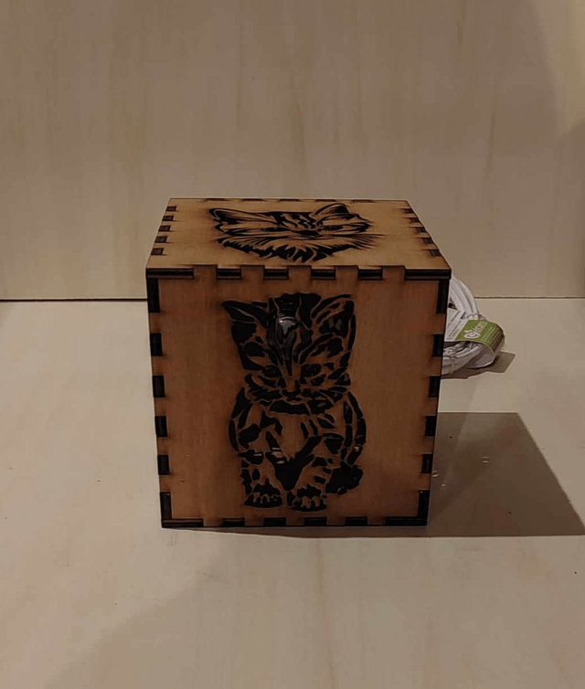 Lampe chat 