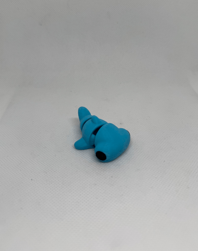 Requin marteau