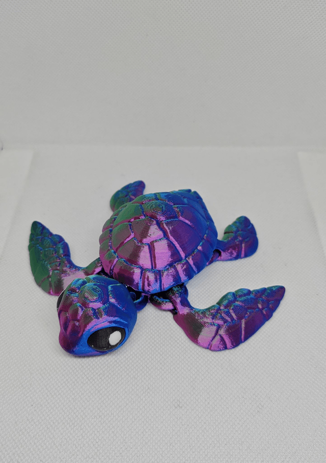 Tortue de mer