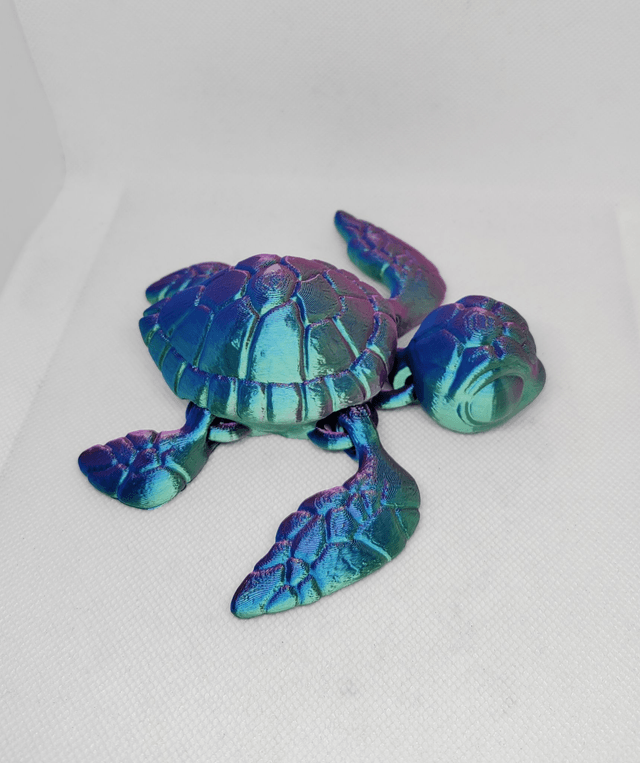 Tortue de mer