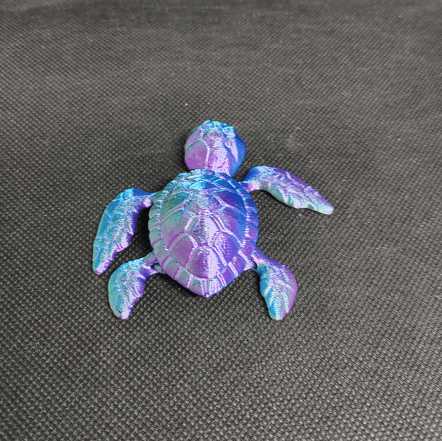 Tortue de mer