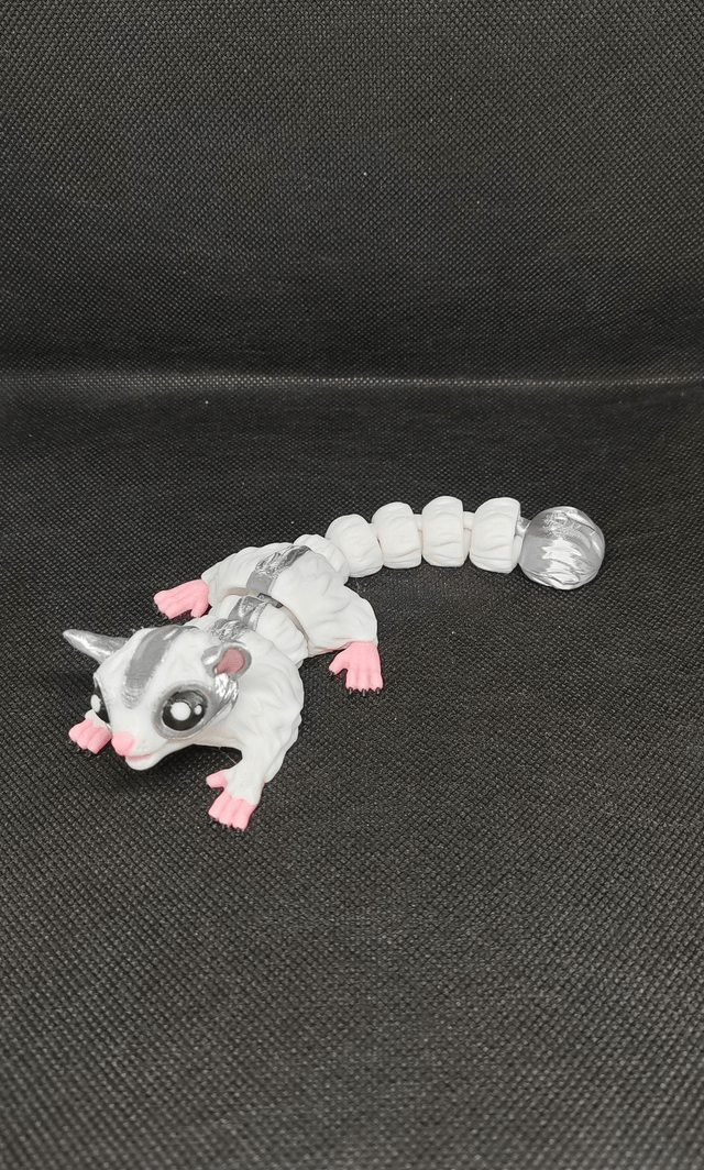 Phalanger volant