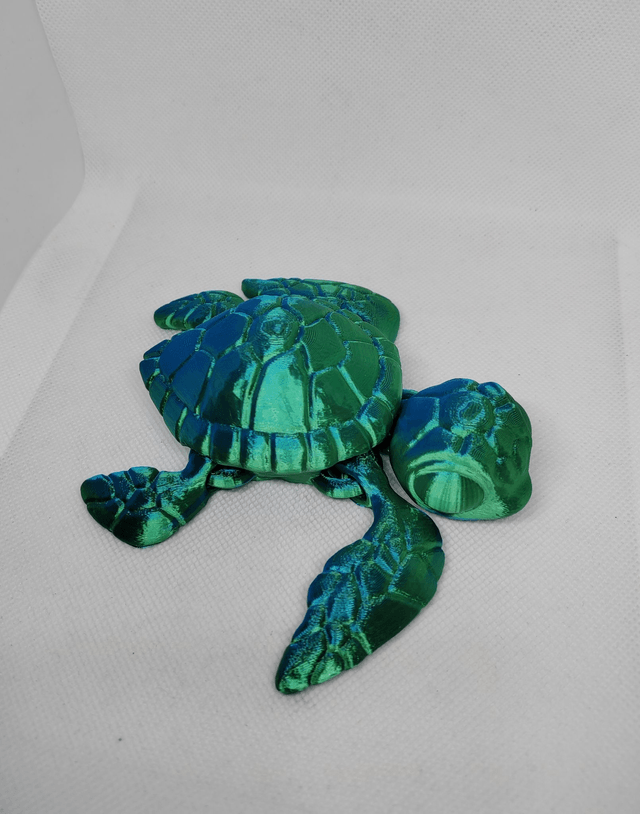 Tortue de mer
