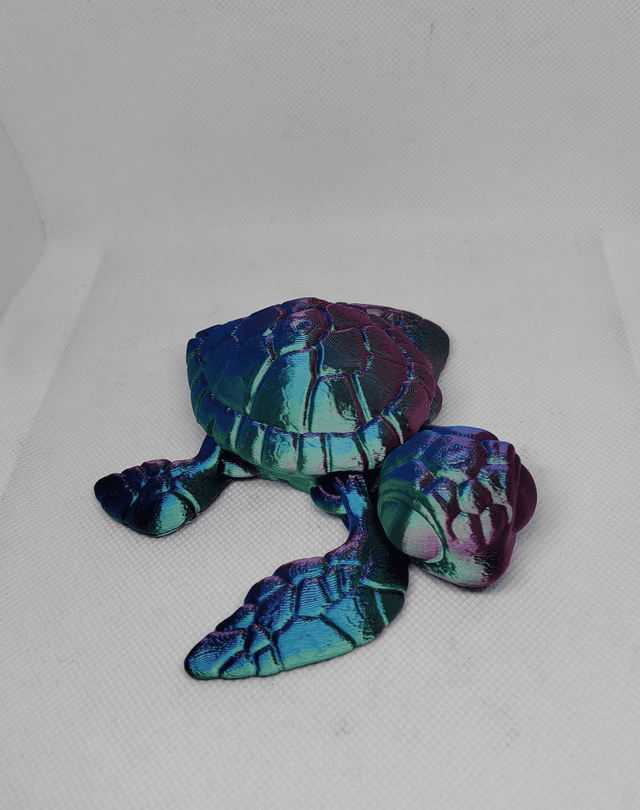 Tortue de mer