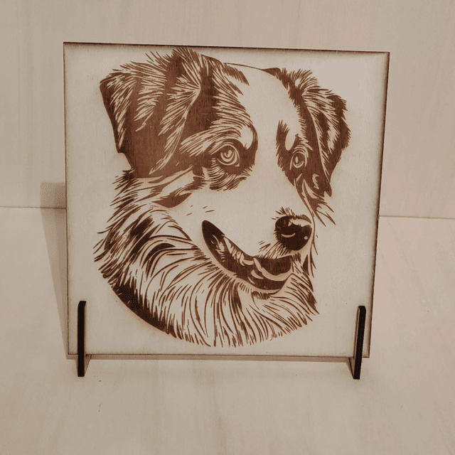 Chien
