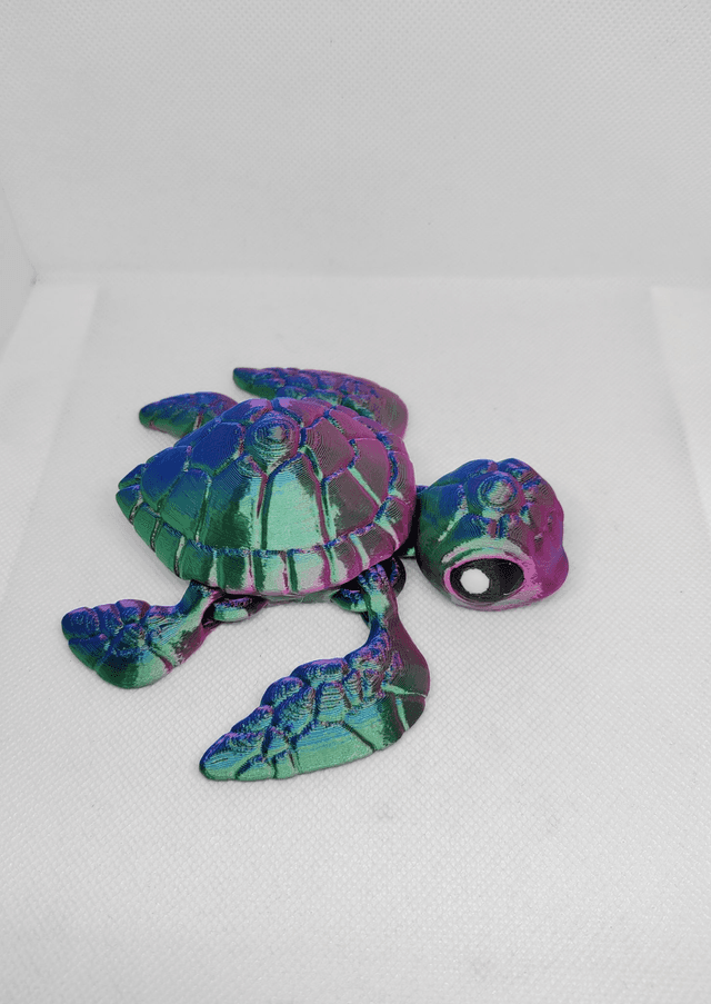 Tortue de mer
