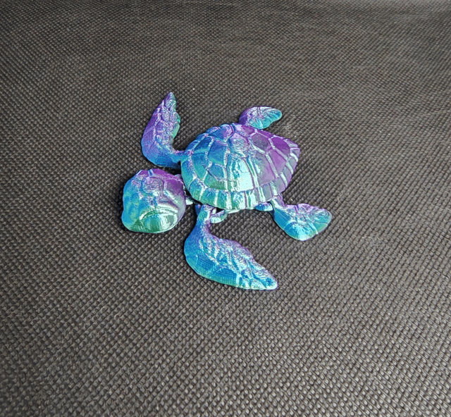 Tortue de mer