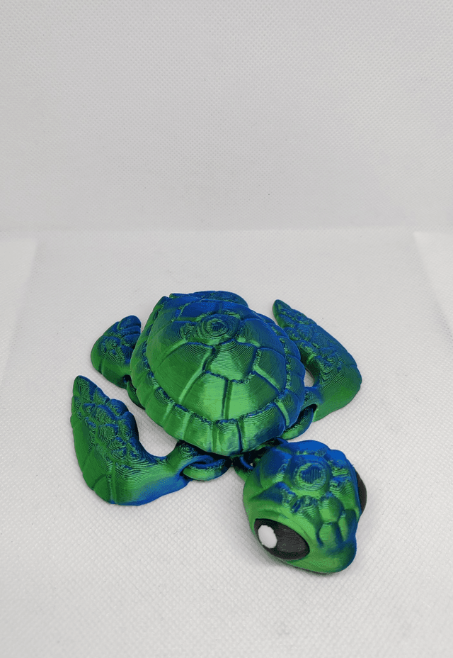 Tortue de mer