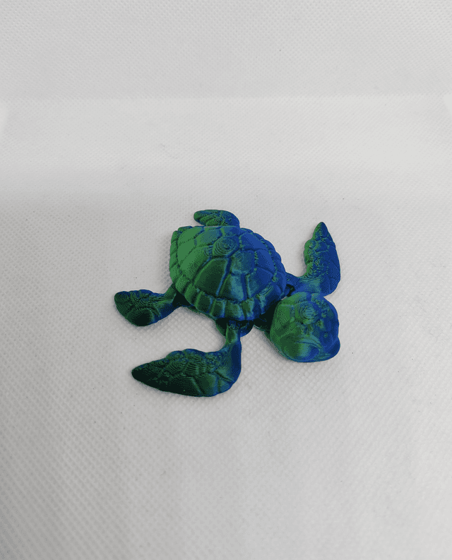 Tortue de mer