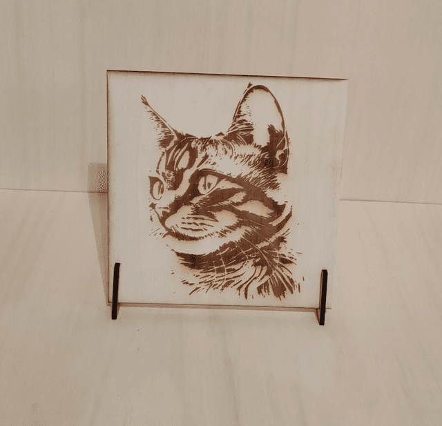 Chat 