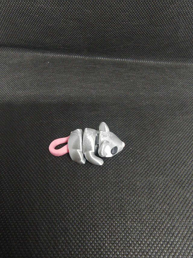 Souris