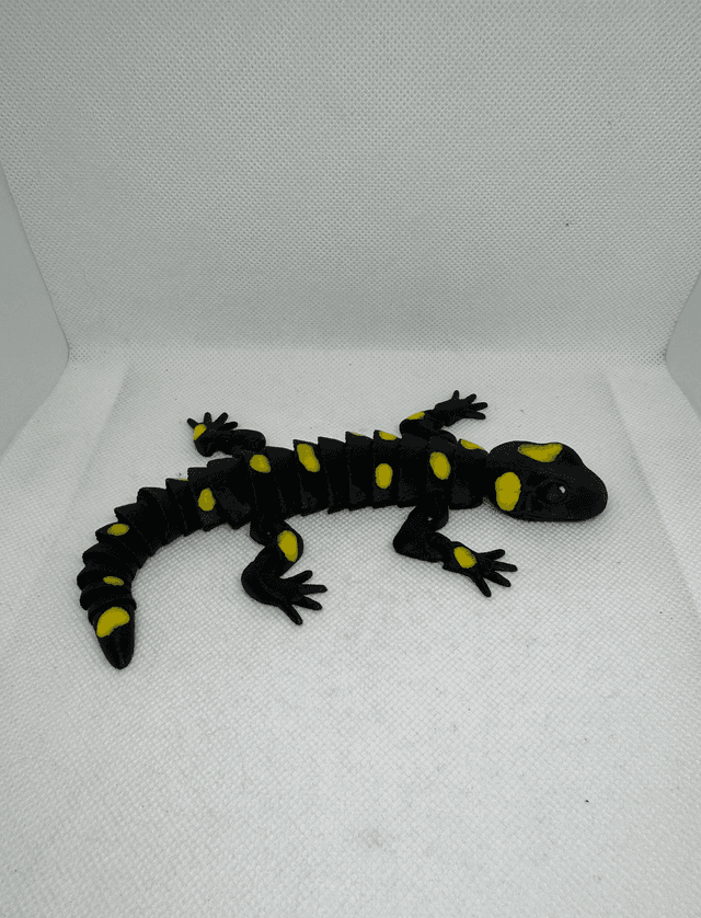 Salamandre 