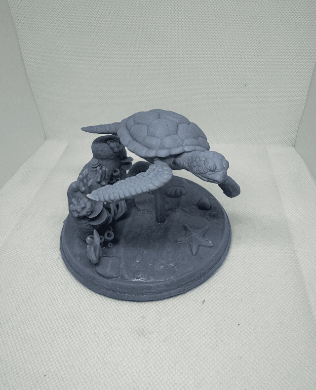 Tortue