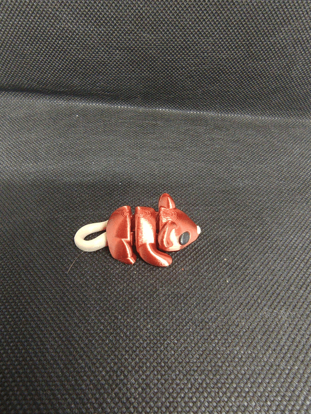 Souris