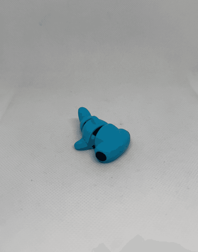 Requin marteau