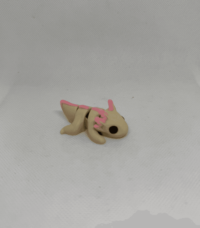 Axolotl