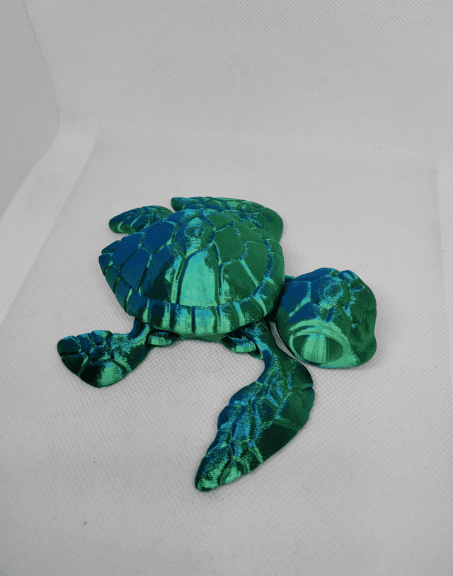 Tortue de mer