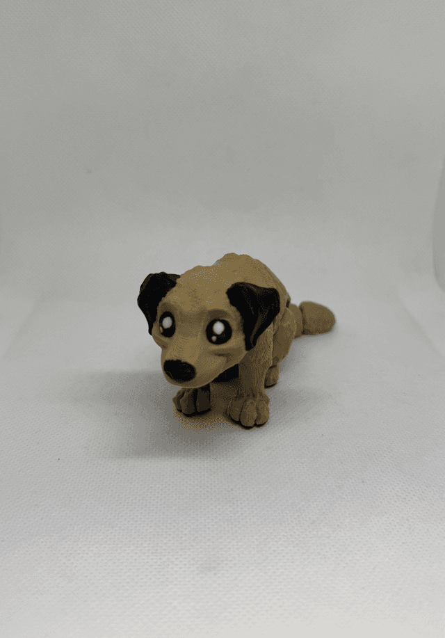 Chien